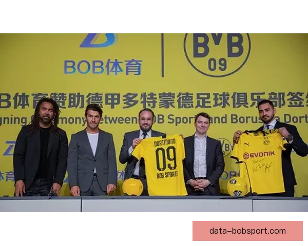 BOB体育登录全流程详解与安全稳定访问方法实用指南